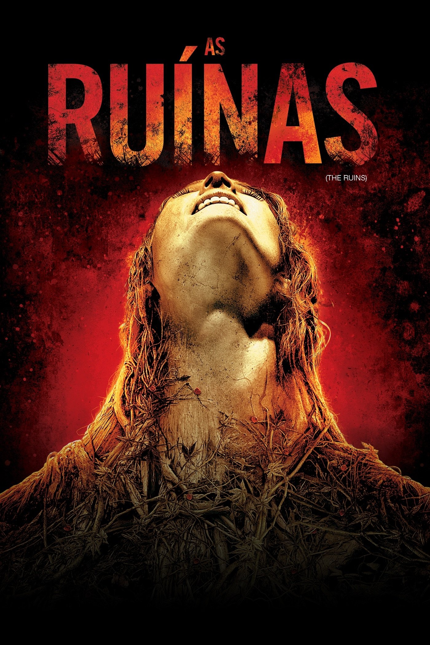 As Ruinas - 2008