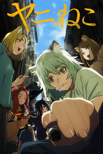 Chainsmoker Cat