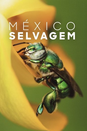 Mexico Selvagem