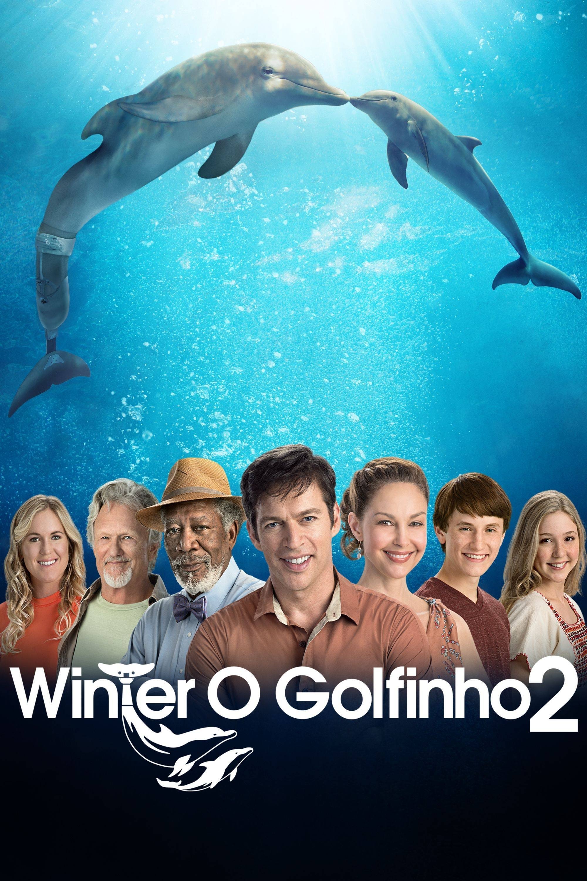 Winter, o Golfinho 2 - 2014