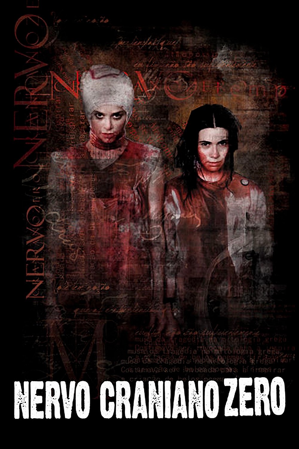 Nervo Craniano Zero - 2012