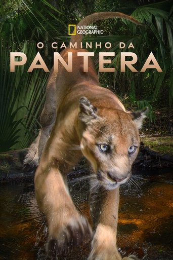 O Caminho da Pantera - 2022