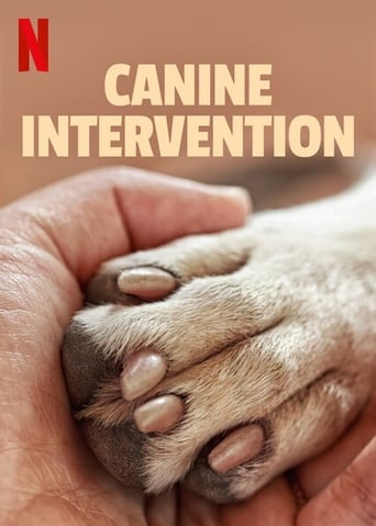 Intervencao Canina 