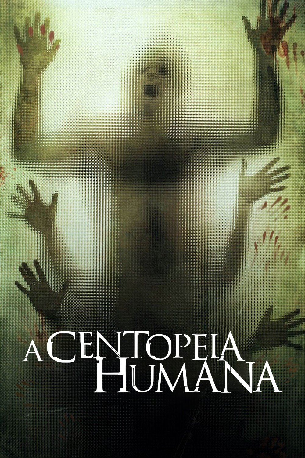 A Centopeia Humana - 2009