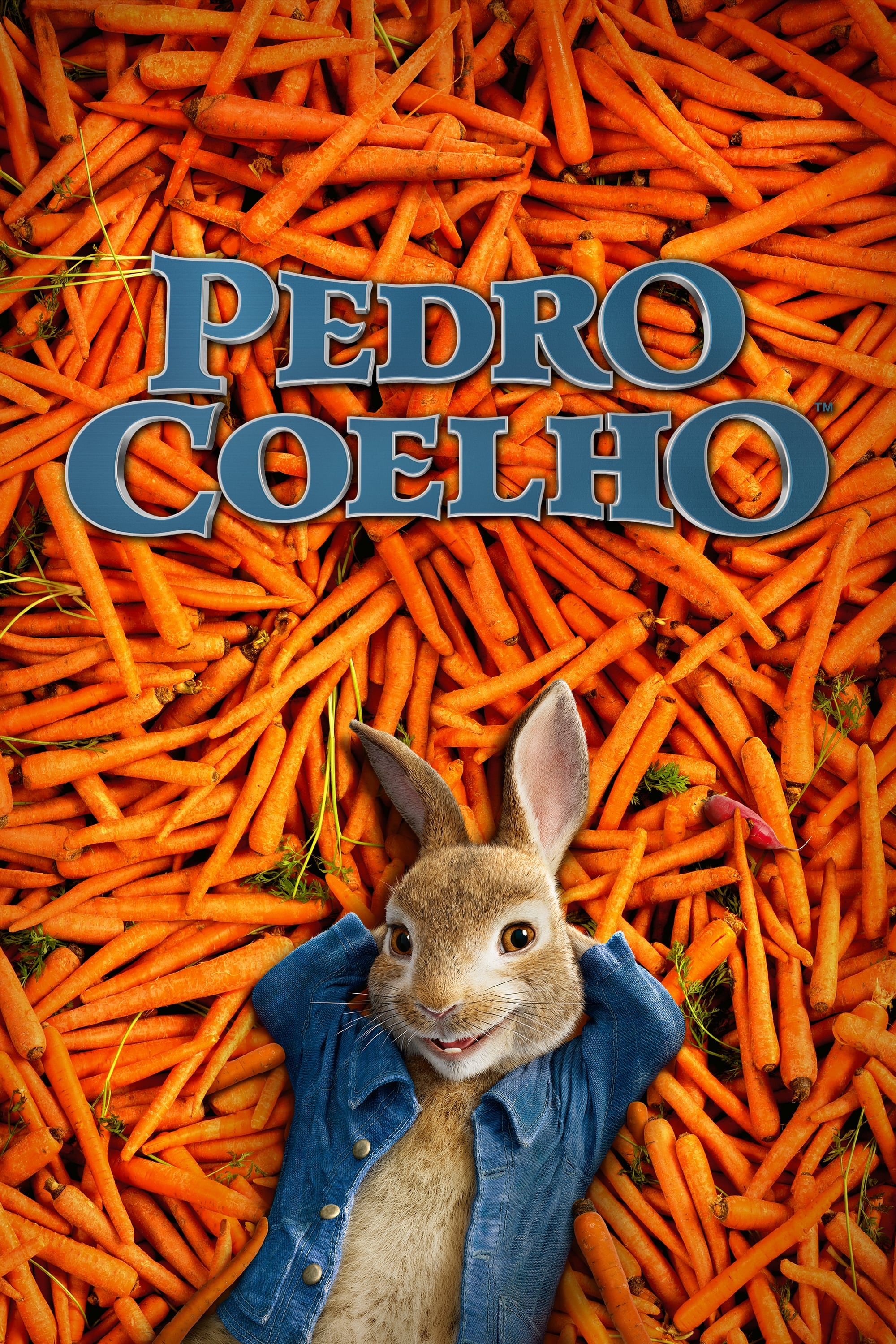 Pedro Coelho - 2018