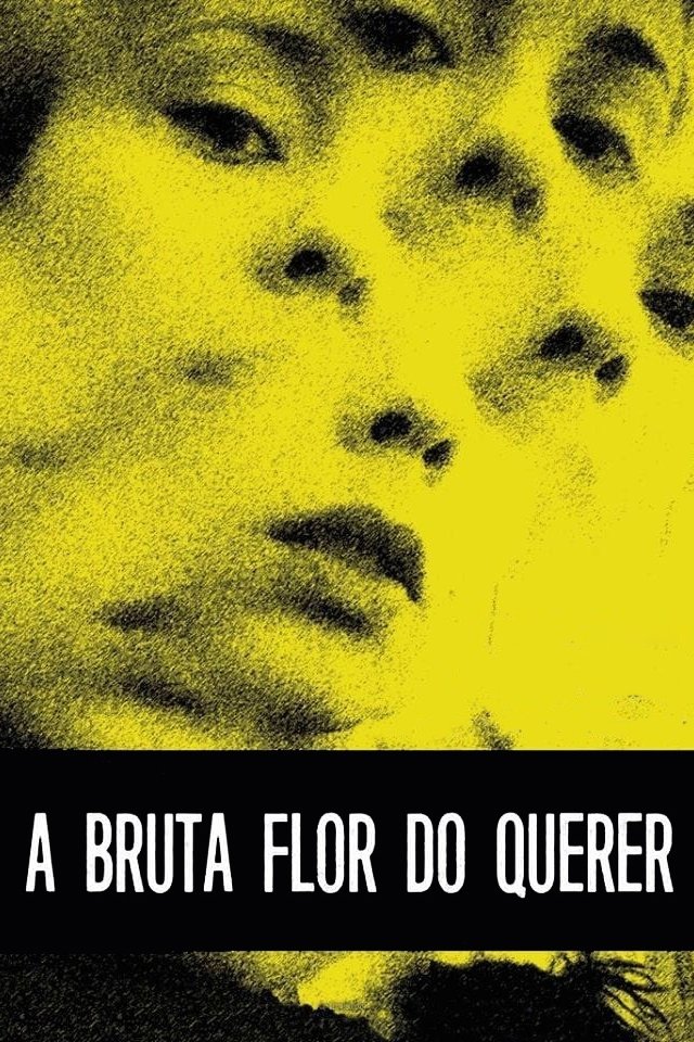 A Bruta Flor do Querer - 2016