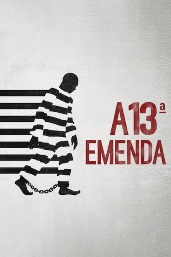 A 13ª Emenda - 2016