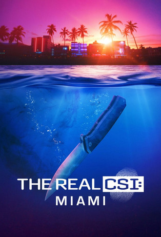 The Real CSI Miami