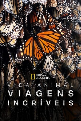 As Mais Incriveis Viagens de Animais