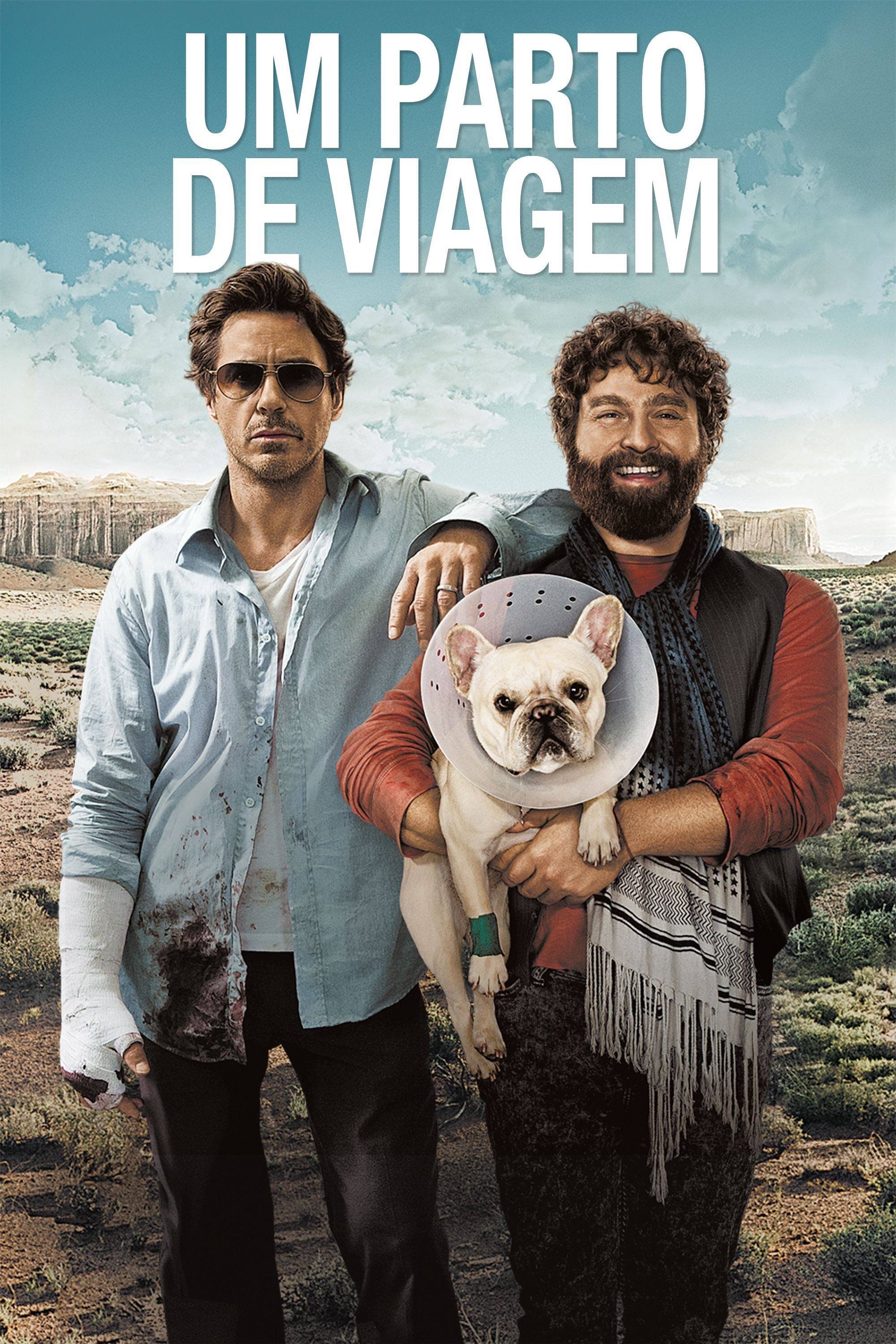 Um Parto de Viagem - 2010
