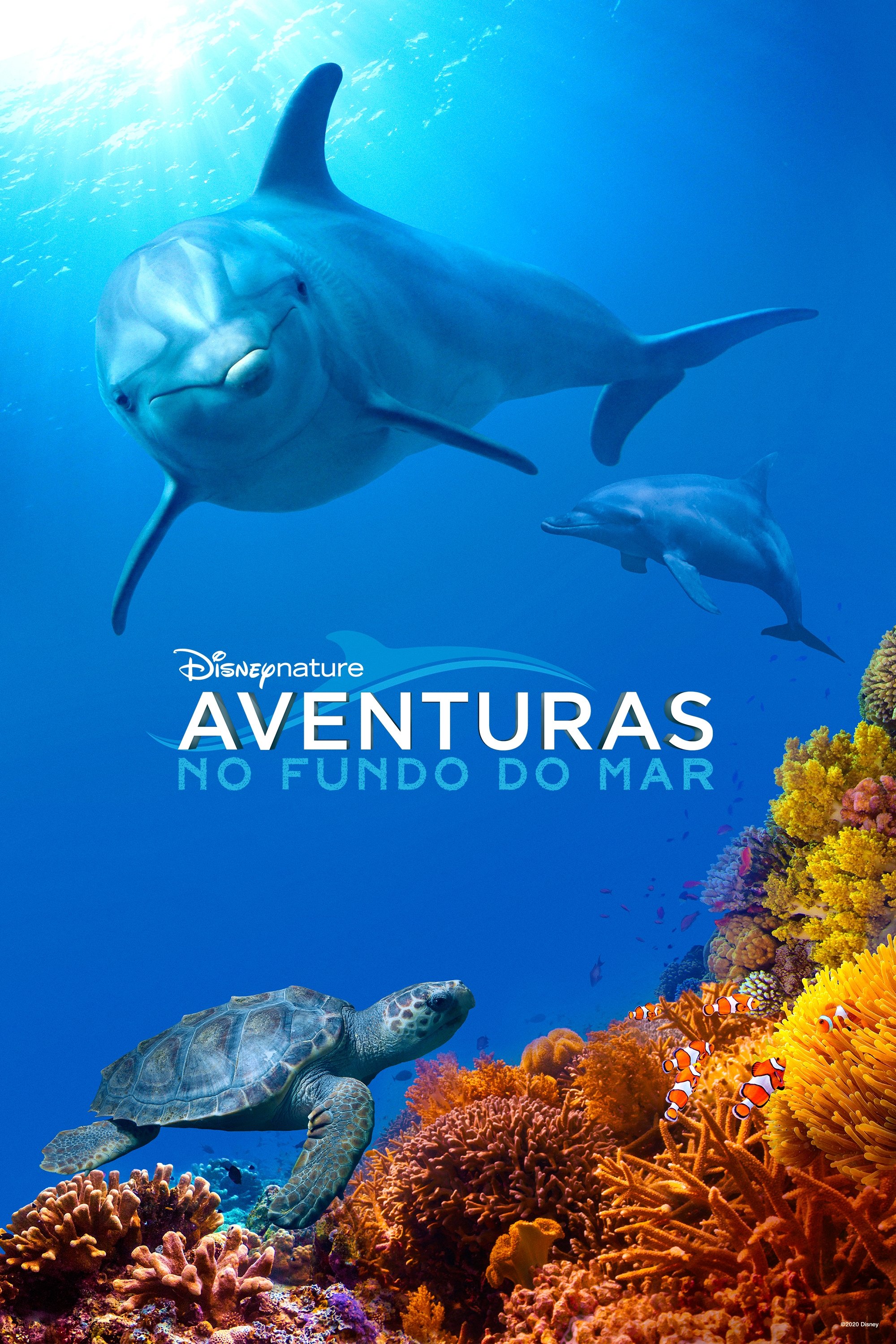 Aventuras no Fundo do Mar - 2018