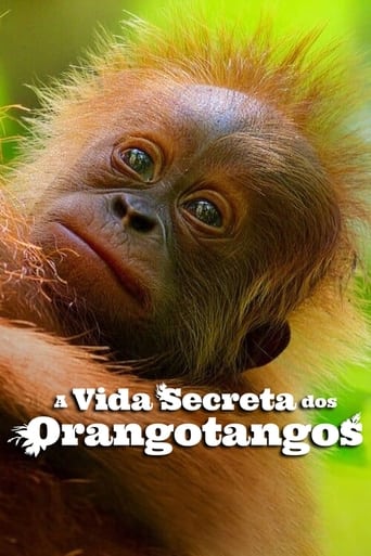 A Vida Secreta dos Orangotangos - 2024 (L)