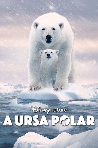 A Ursa Polar- 2022
