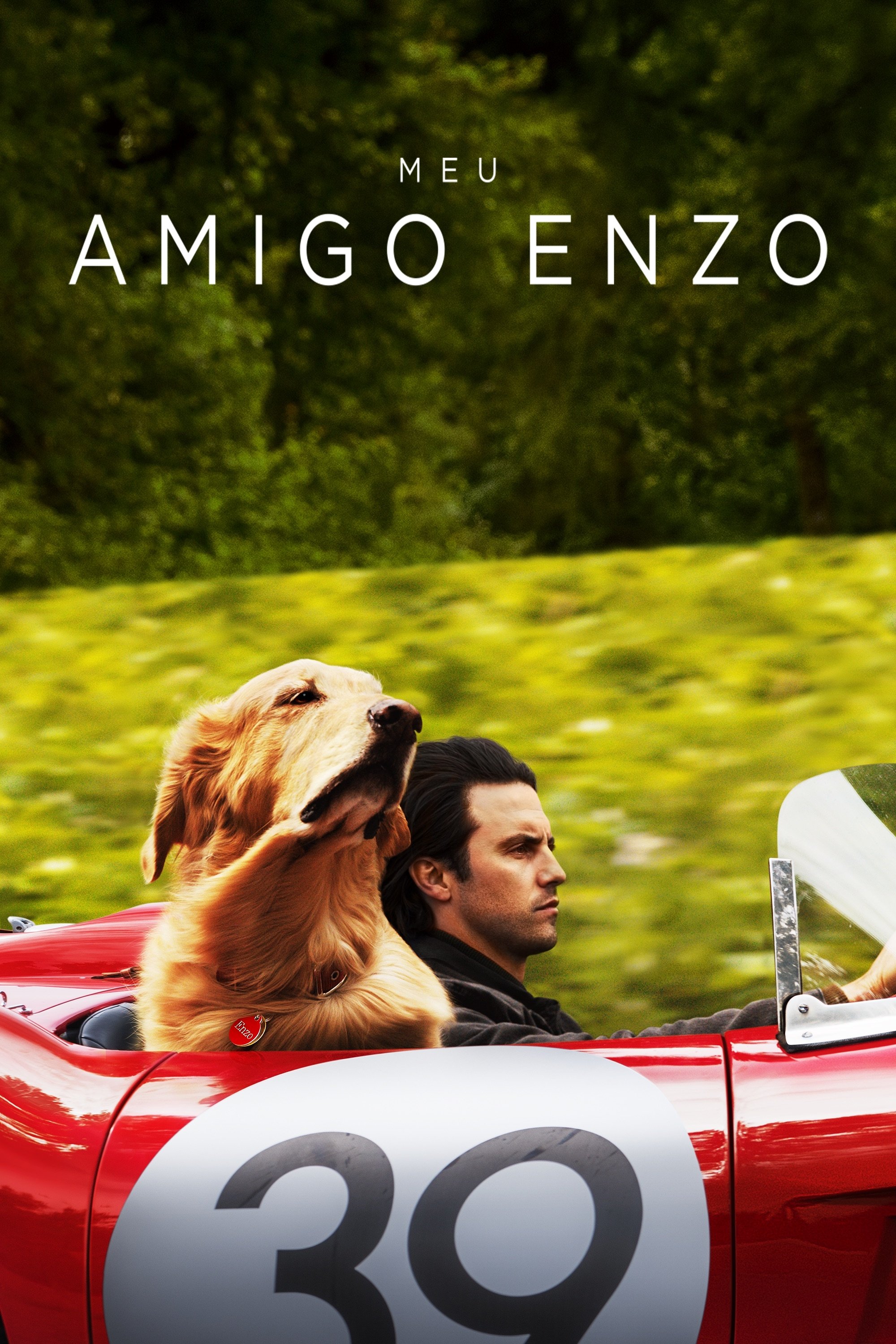 Meu Amigo Enzo - 2019