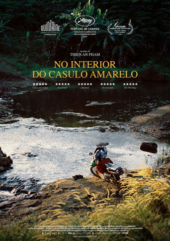 No Interior do Casulo Amarelo - 2023