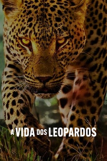 A Vida dos Leopardos - 2024