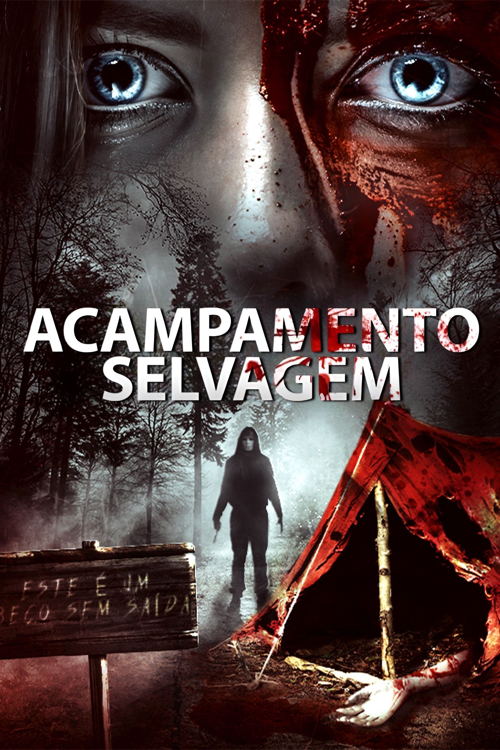 Acampamento Selvagem - 2019