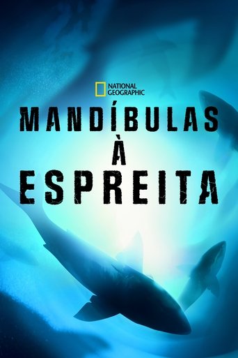 Mandibulas a Espreita - 2022