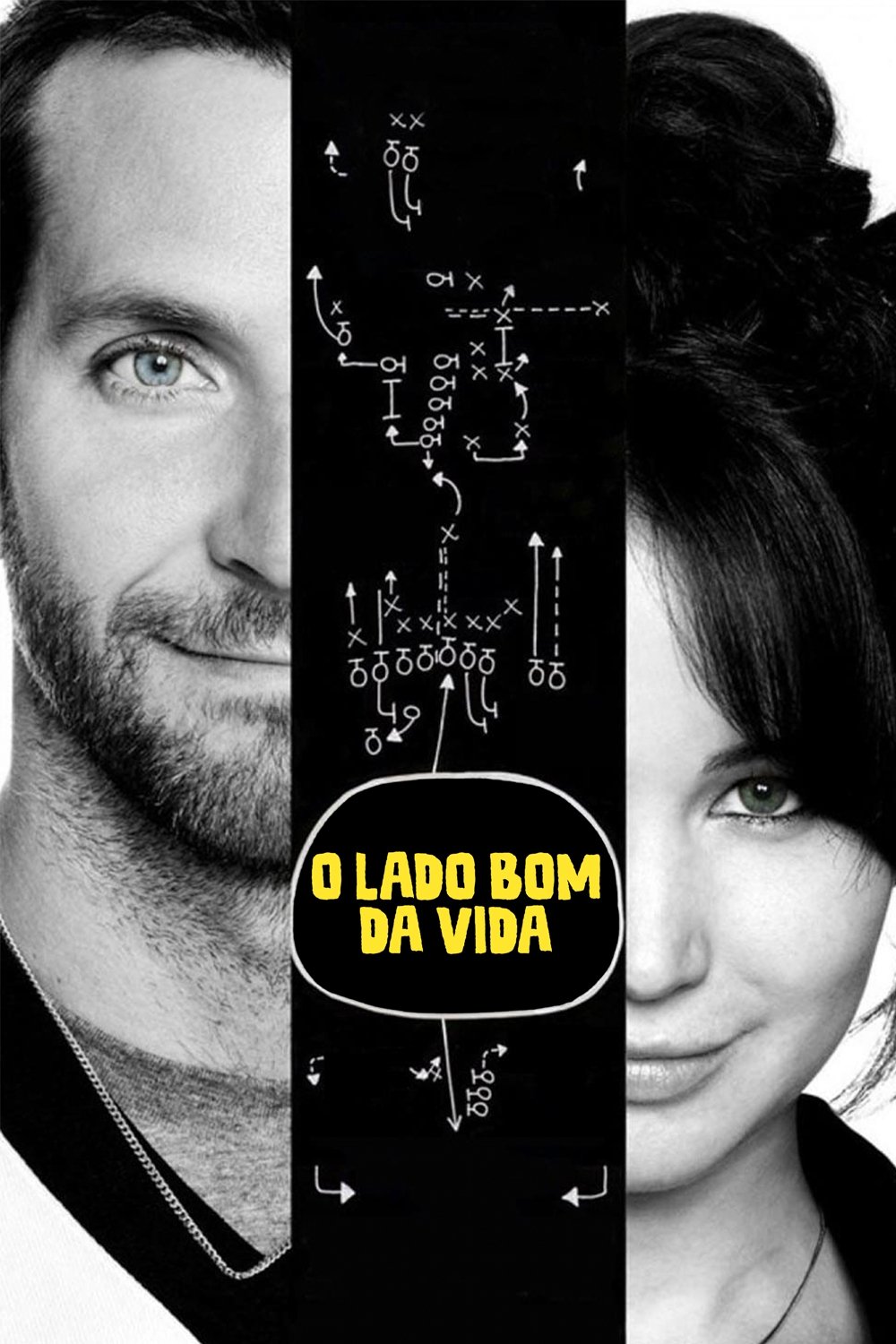 O Lado Bom da Vida - 2012