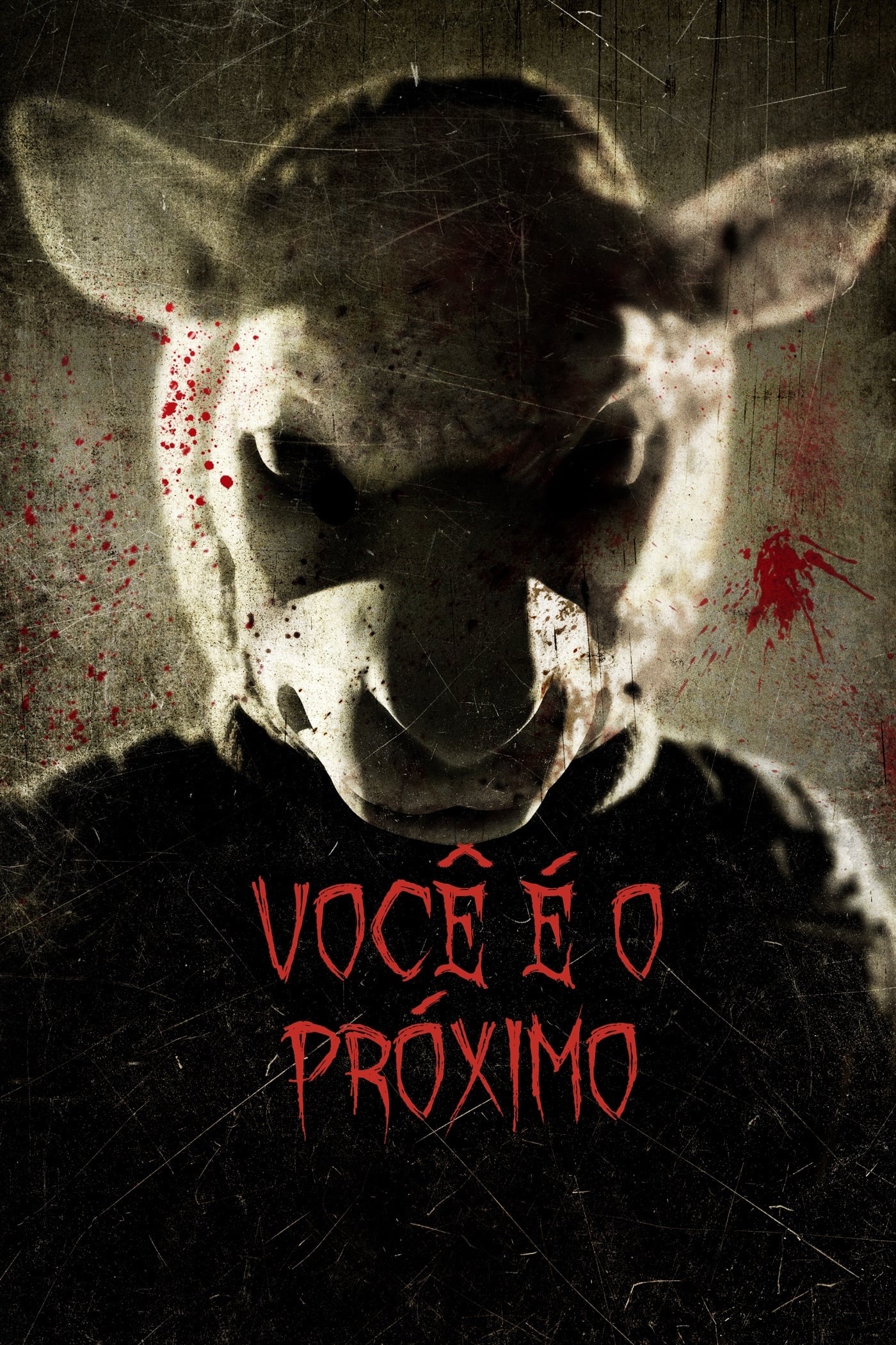 Voce e o Proximo - 2011