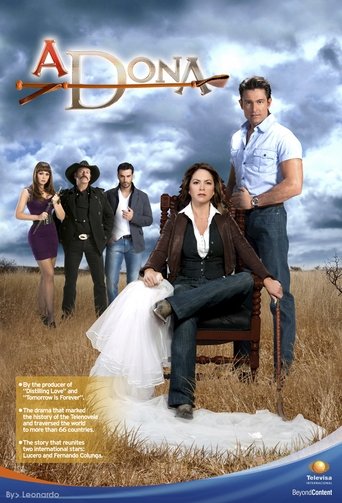 Novela - A Dona