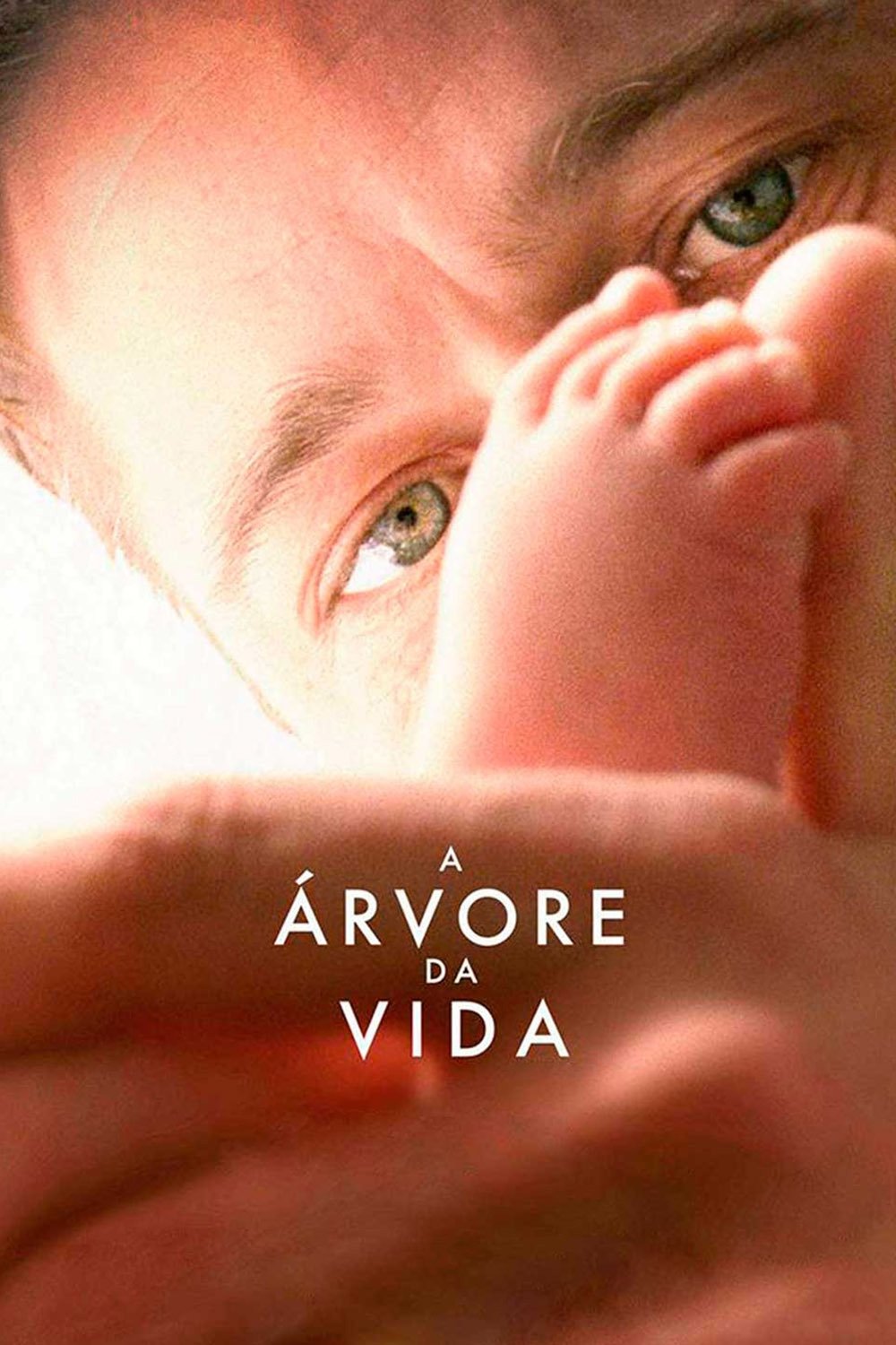 A Arvore da Vida - 2011