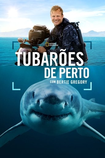 Tubaroes de Perto com Bertie Gregory - 2025
