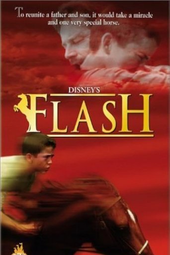 Meu Amigo Flash - 1997