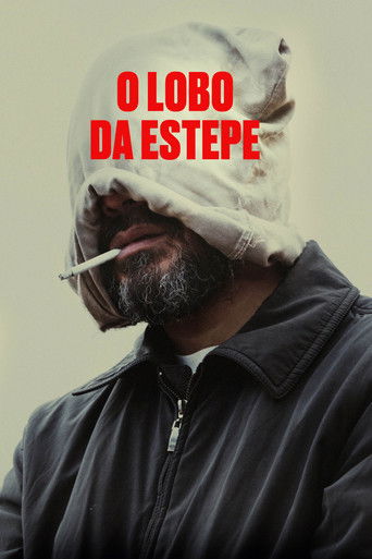 O Lobo da Estepe - 2024