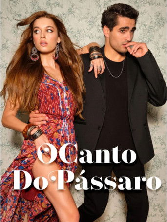 Novela - O Canto do Passaro