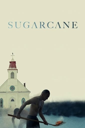 Sugarcane - 2024