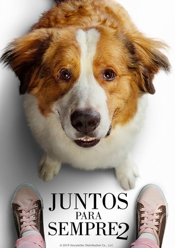 Juntos para Sempre - 2019