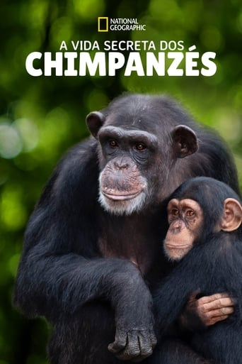 A Vida Secreta Dos Chimpanzes