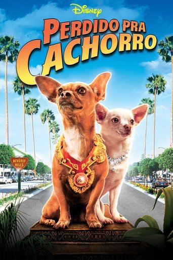 Perdido pra Cachorro 1 - 2008