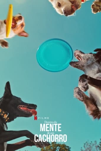 Dentro da Mente de um Cachorro - 2024