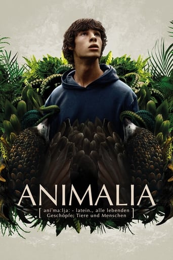 O Reino Animal - 2023 (L)