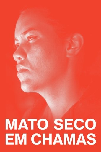 Mato Seco em Chamas - 2023
