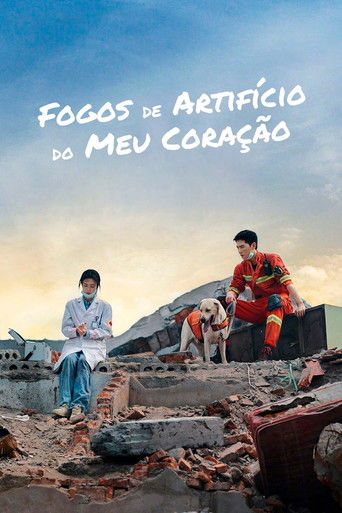 Fogos de Artificio do Meu Coração