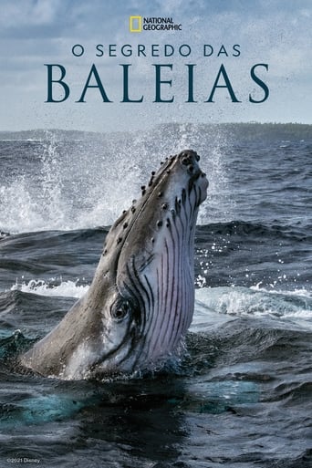 Os Segredos Das Baleias 