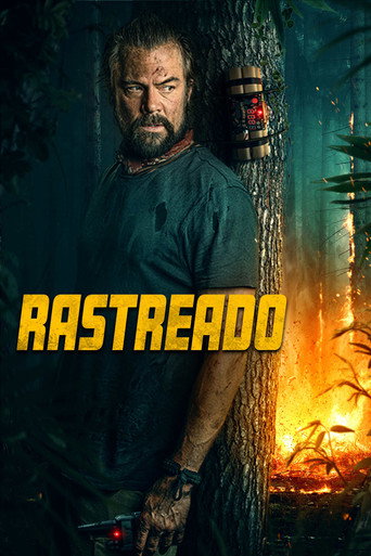 Rastreado - 2025
