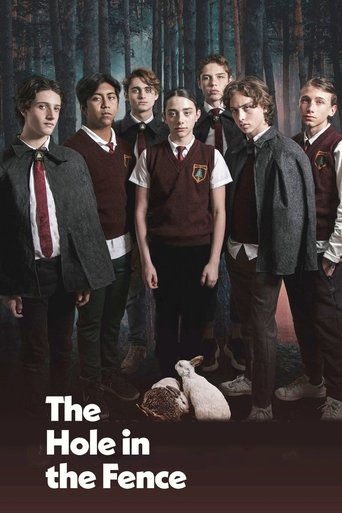 The Hole in the Fence - 2022 (L)