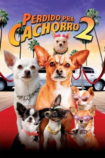 Perdido pra Cachorro 2 - 2011