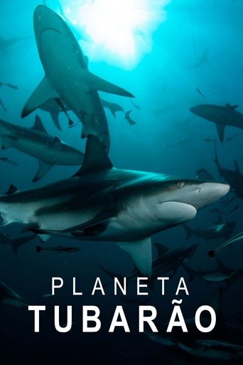 Planeta Tubarao