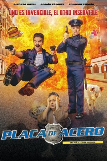 Placa de Acero - 2019 (L)