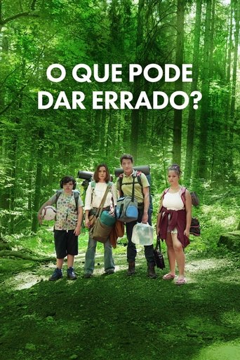 O Que Pode Dar Errado - 2025