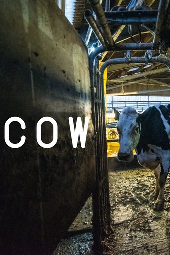 Cow - 2022 (L)