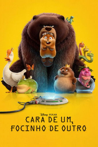 Cara de Um Focinho de Outro - 2026