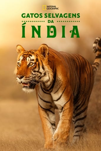 Gatos Selvagens da India