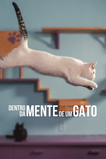 Dentro da Mente de um Gato - 2022