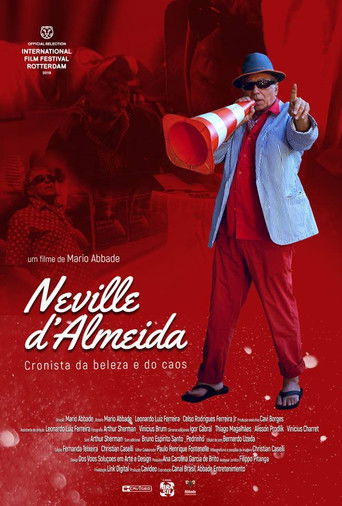 Neville DAlmeida Cronista da Beleza e do Caos - 2019
